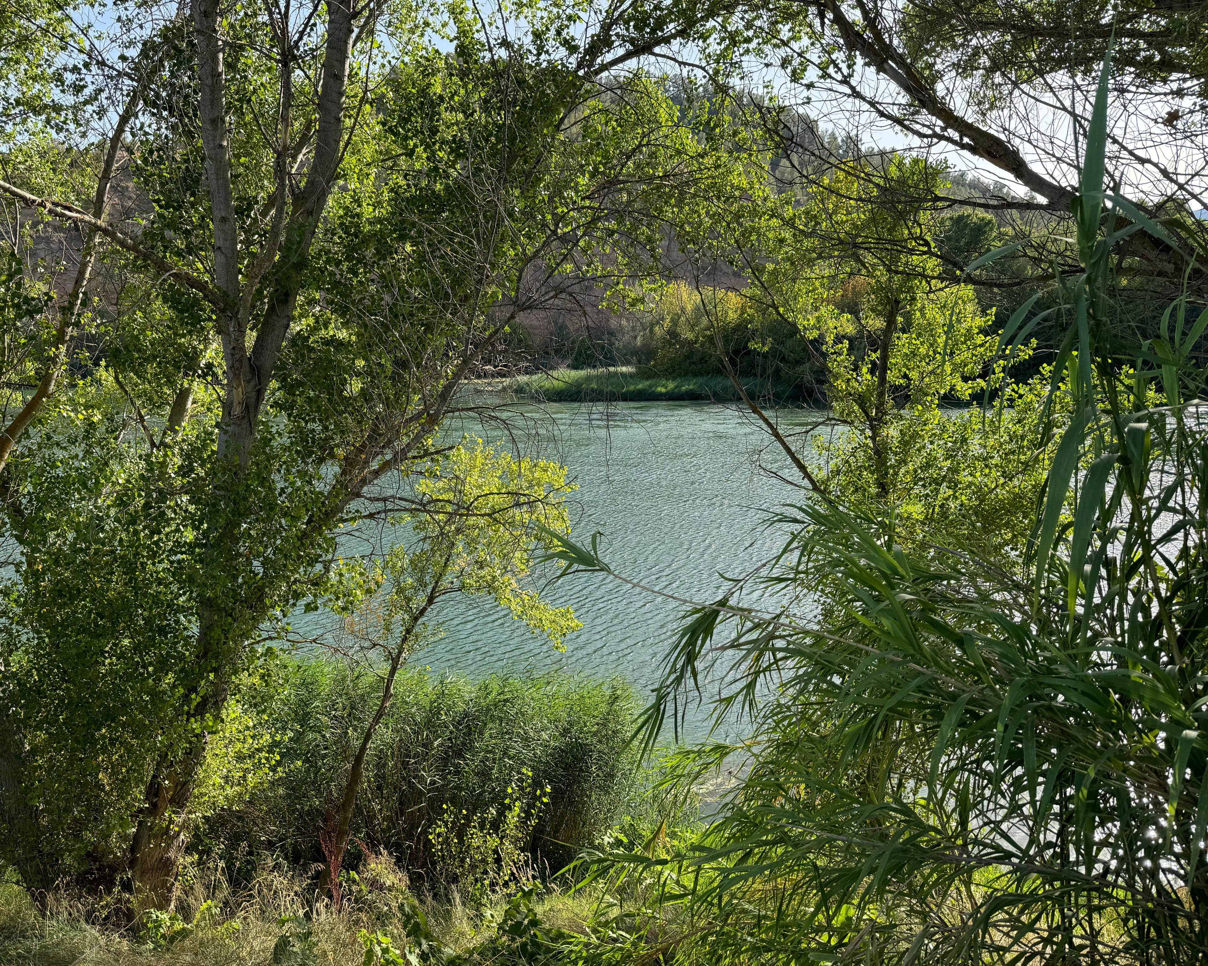 Día Mundial contra la Desertificación y la Sequía