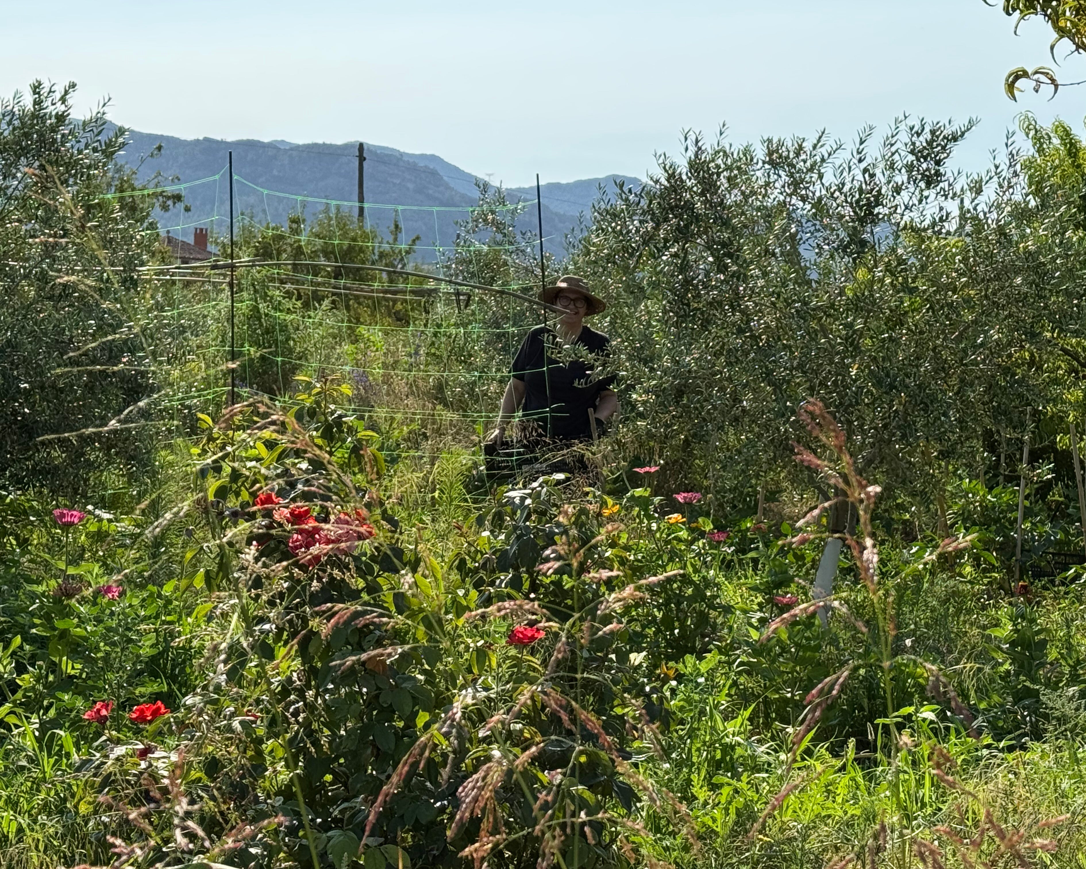 La huerta biointensiva