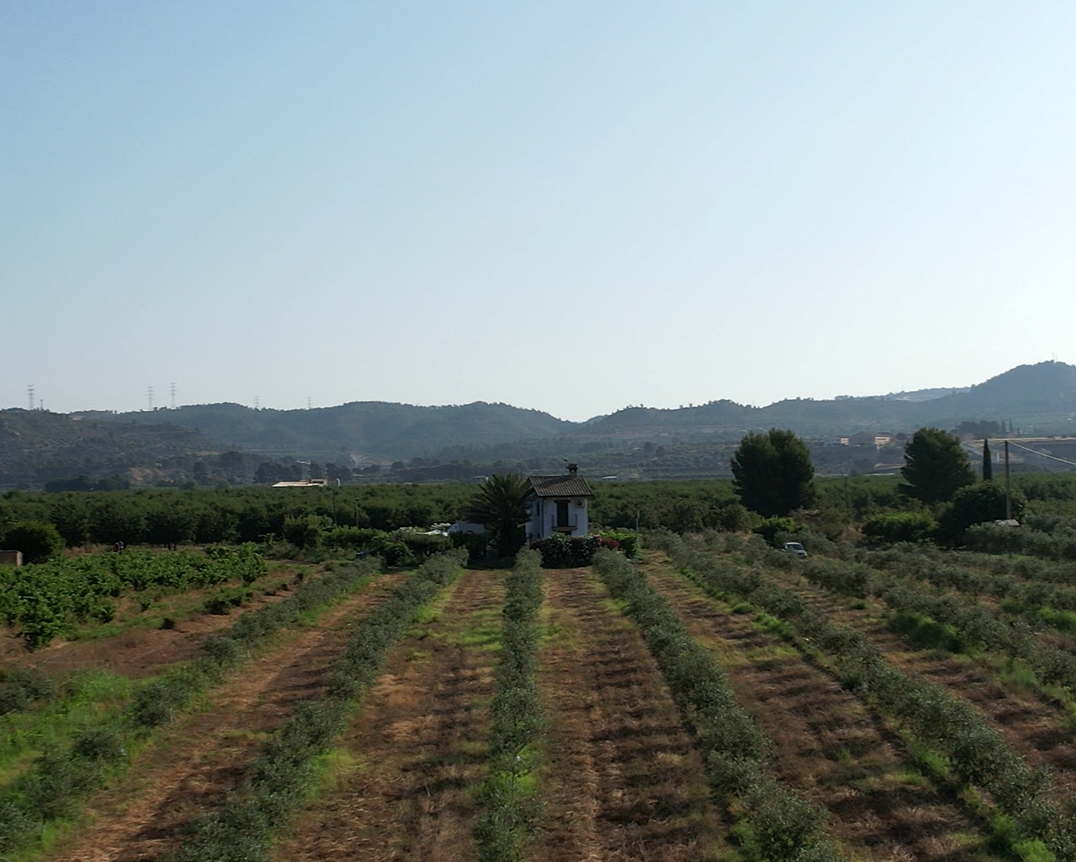 Del máster al campo: agricultura regenerativa