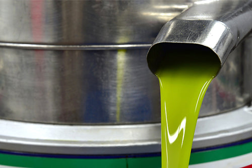 EXPERIENCIA ACEITE & TERRITORIO