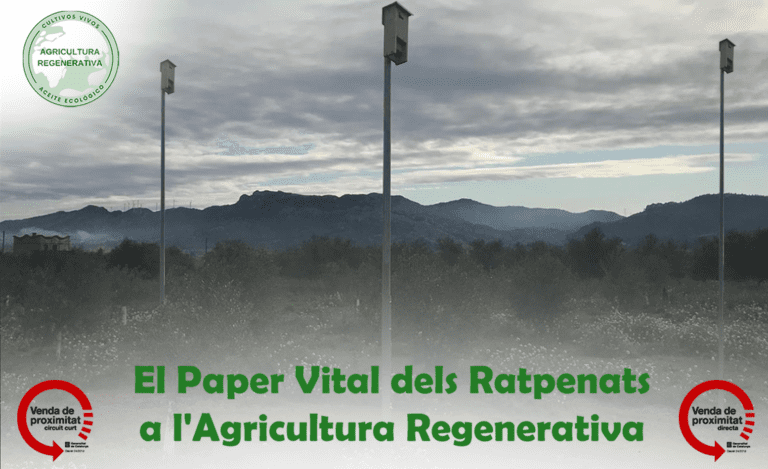 El Paper Vital dels Ratpenats en l’Agricultura Regenerativa