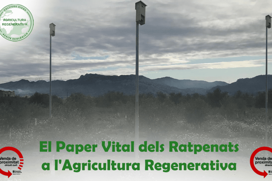 Murciélagos en la Agricultura Regenerativa