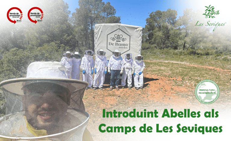 Abelles en l’Agricultura Regenerativa