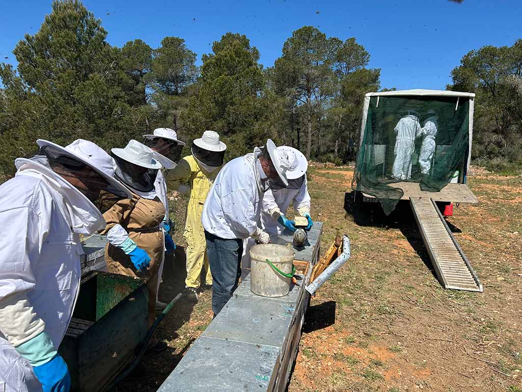 Apiculteurs travaillant avec une protection dans une ferme apicole en plein air.