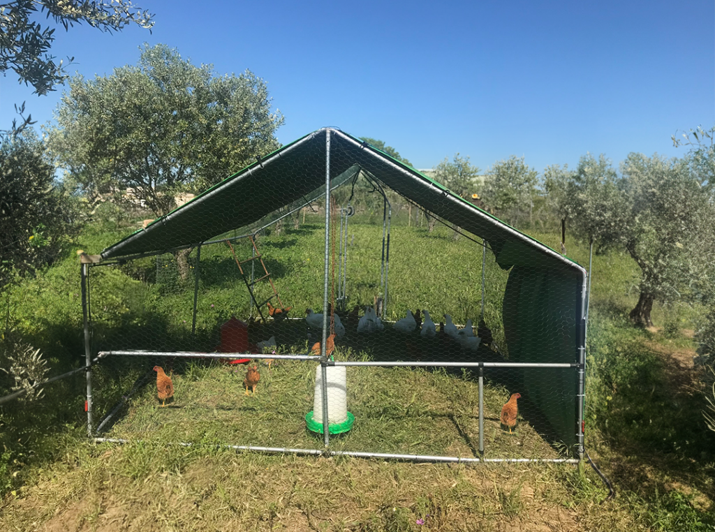 Mobile chicken coop - Regenerative Agriculture