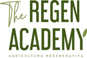 The Regen Academy