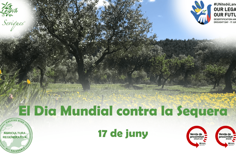 Dia Mundial contra la Desertificació i la Sequera