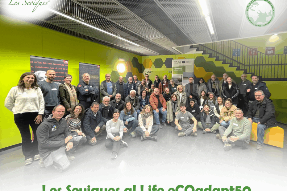 Foto principal FINAL