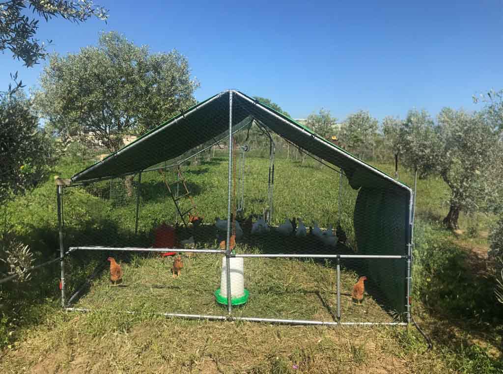 Outdoor chicken coop located in a field.