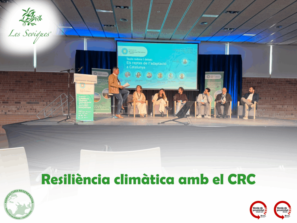 foto portada